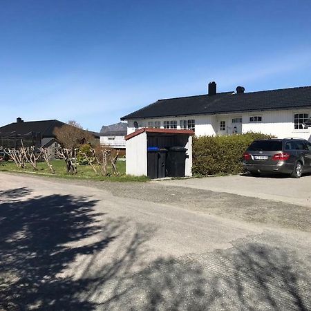 Cozy & Private Room In The Middle Of Lofoten Leknes Eksteriør billede